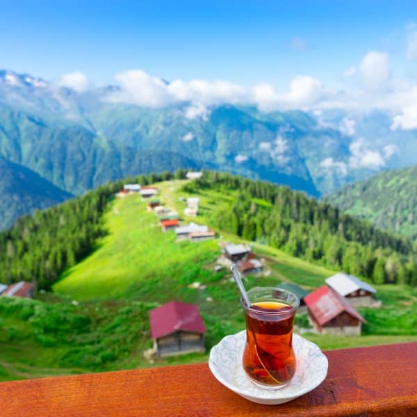 karadeniz tur fiyatları karadeniz turu